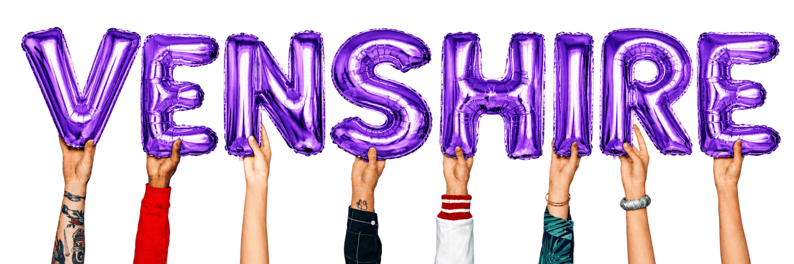 Venshire Partners